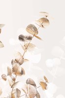 Eucalyptus Creative Gold 2 Fine Art Print