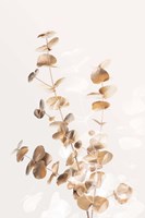 Eucalyptus Creative Gold 3 Fine Art Print