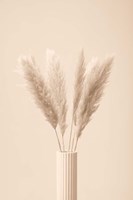 Pampas Grass Beige 11 Fine Art Print