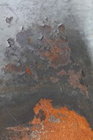 Corrugated Iron 5 Fine Art Print