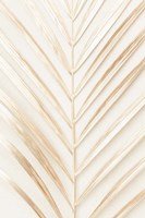 Golden Palm Leaf Fine Art Print