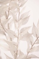 Dried Straws 3 Fine Art Print