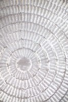 Patternplate Grey 1 Fine Art Print