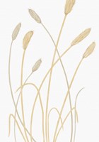 Bunny Grass 1 Fine Art Print