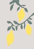Lemons Fine Art Print