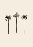 Palm Trees Ink Fine Art Print