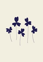 Blue Sorrel Fine Art Print