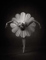 Floral Ballet Fine Art Print