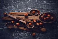 Hazelnuts Fine Art Print