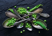 Spoons & Green Pea Fine Art Print