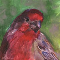 Field Birds VI Fine Art Print