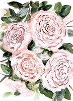 Gentle Roses Pink Fine Art Print