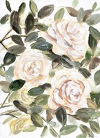 Gentle Roses Yellow I Fine Art Print