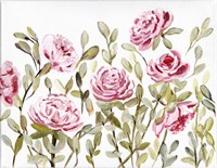 Gentle Rosegarden Pink Fine Art Print