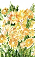 Daisies in Yellow Fine Art Print