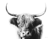 My Highland I Fine Art Print