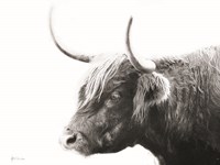 My Highland III Fine Art Print