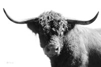 My Highland IV Fine Art Print