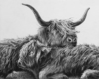 My Highland V Fine Art Print