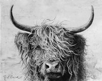 Highland in the Wind I Fine Art Print