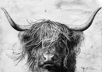 Highland in the Wind II Fine Art Print