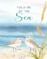 By the Seashore VII Framed Print