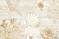 Calm Shores I Fine Art Print