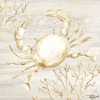 Calm Shores II Fine Art Print