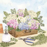 In My Garden V Framed Print