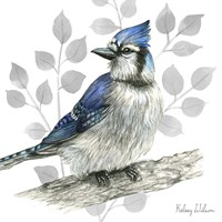 Backyard Birds I-Blue Jay Fine Art Print