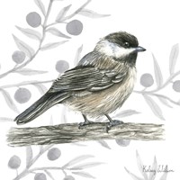 Backyard Birds II-Chickadee Framed Print