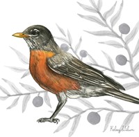 Backyard Birds VI-Robin Fine Art Print