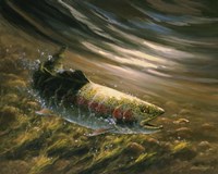 The Chase - Rainbow Trout Fine Art Print