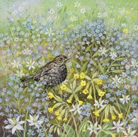 Baby Blackbird and Forget-me-nots Fine Art Print