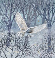 Barn Owl and Winter Trees Fine Art Print