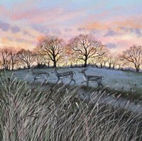 Evening Sky with Deer Fine Art Print