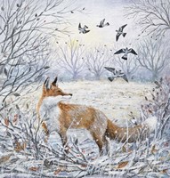 Red Fox and Pigeons Fine Art Print