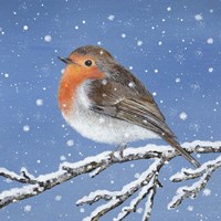 Robin and Snowflakes Fine Art Print