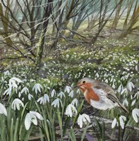 Snowdrops and Robin Fine Art Print