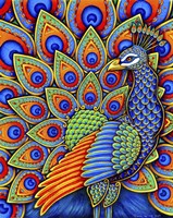 Colorful Paisley Peacock Framed Print