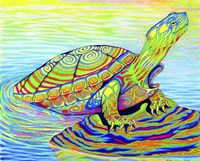 Painted Turtle Fine Art Print