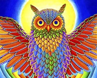 Rainbow Owl Fine Art Print