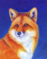 Colorful Red Fox Fine Art Print