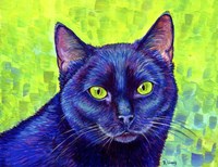 Black Cat With Chartreuse Eyes Fine Art Print