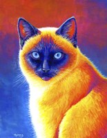 Colorful Siamese Cat Fine Art Print