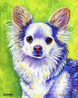 Cute Chihuahua Fine Art Print