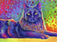 Psychedelic Rainbow Black Cat Fine Art Print