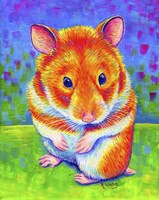 Rainbow Hamster Fine Art Print