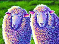 Two Colorful Sheep Fine Art Print