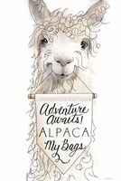 Alpaca My Bags Fine Art Print